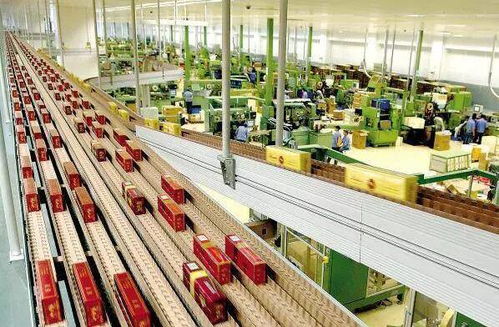 高考倒计时50天，揭秘那些冷门但潜力无限的“技术+服务”专业